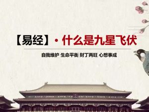易经--什么是九星飞伏