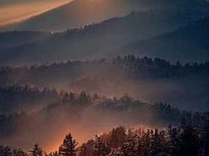 《黄帝四经》全文及译文完整版